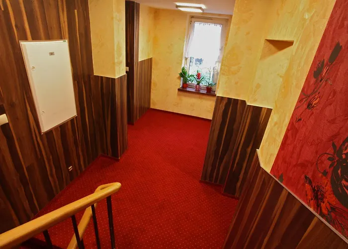 Magnolia Γκντίνια